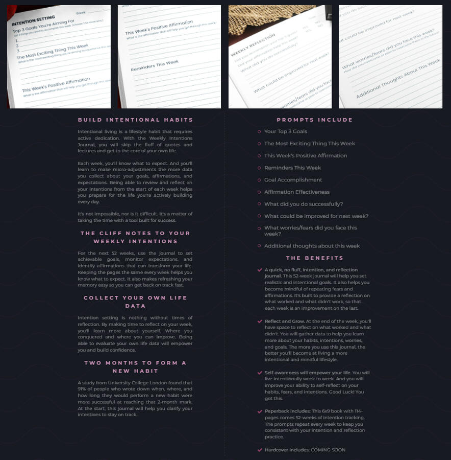 ohheyvoid.com - Journal details page